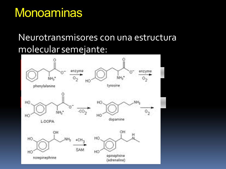 disfunción sexual de los neurotransmisores de monoamina